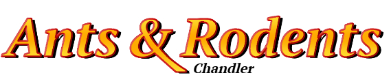 Chandler Ant Exterminator & Rodent Control Company Logo